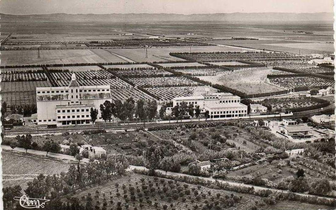 Relizane 037.jpg